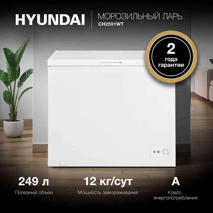 Морозильный ларь Hyundai CH2591WT, превью следующего фото