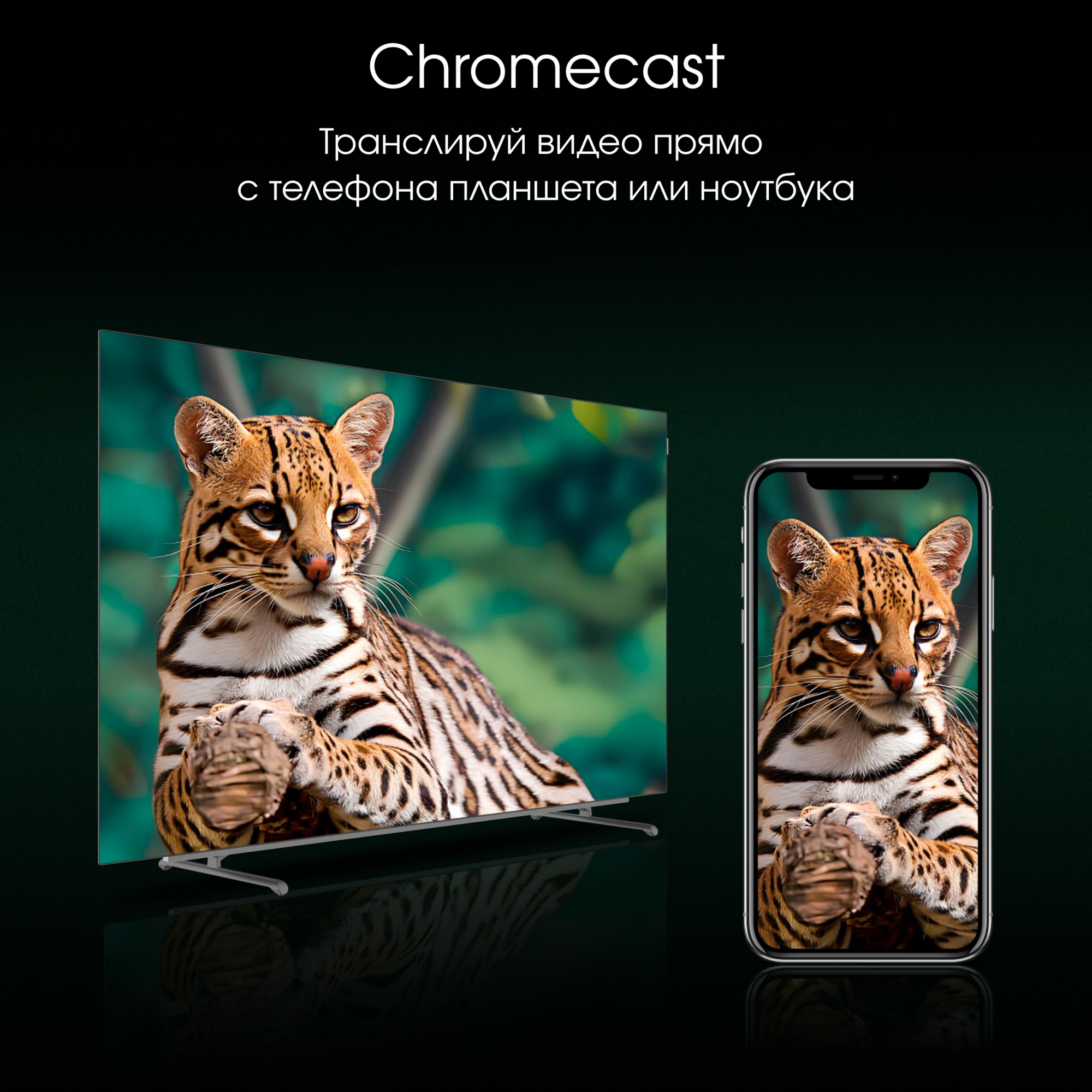 Телевизор Digma Pro 55M, фото 12