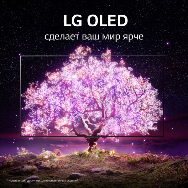 Телевизор LG OLED55C1 (PL), фото 12