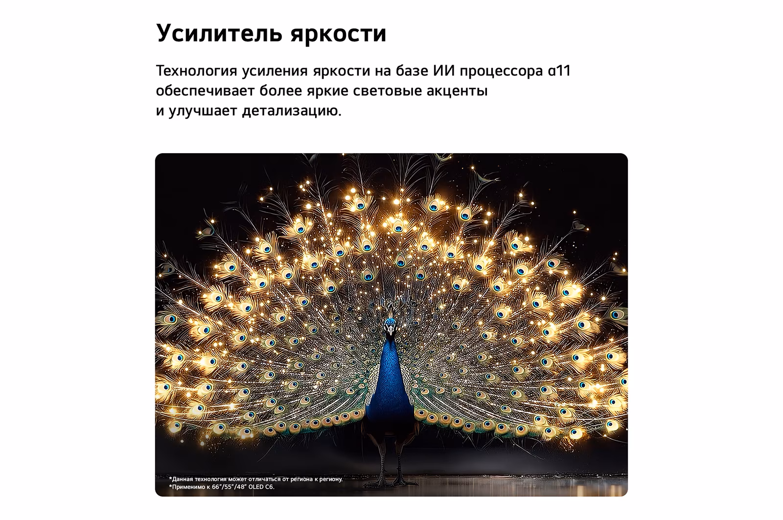 Телевизор LG OLED55C6RLA, фото 14