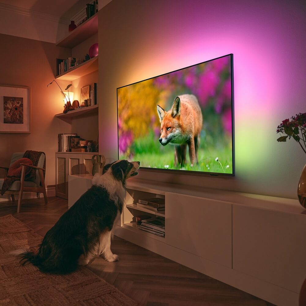 Телевизор Philips 65PUS8519/60, превью предыдущего фото