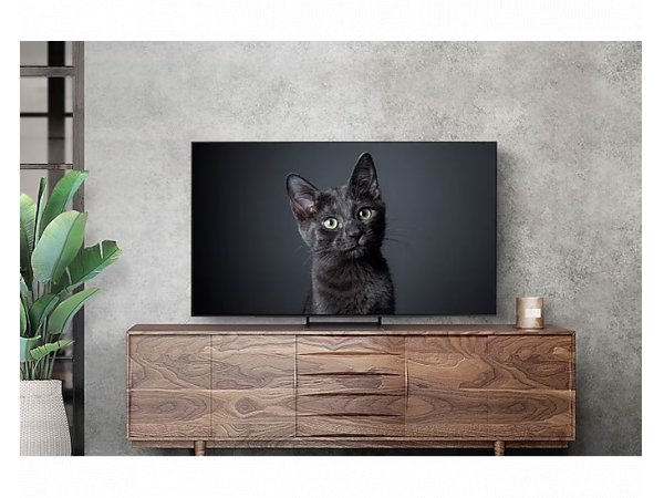 Телевизор Samsung QE55S90C, фото 6